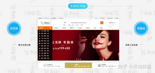 b2b2c多用户商城系统,功能 渠道 架构 商业模式整合方案