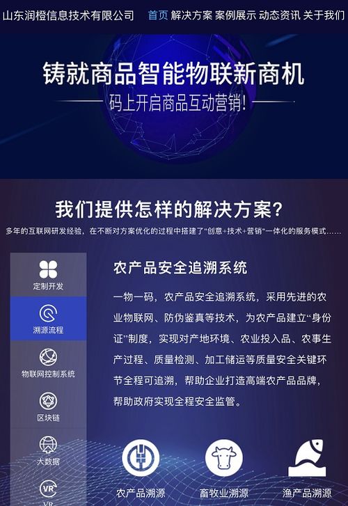 两种最常见的定制网站,各自有哪些特点